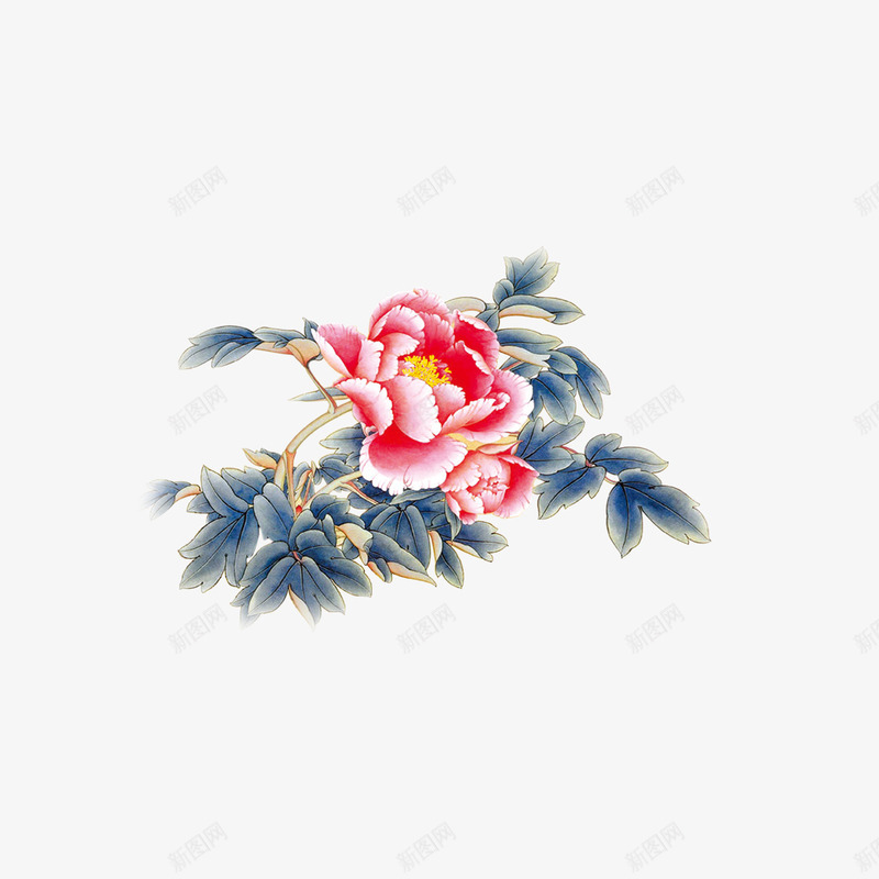 牡丹花中国风花朵png免抠素材_新图网 https://ixintu.com 中国风 插画 牡丹花 花朵