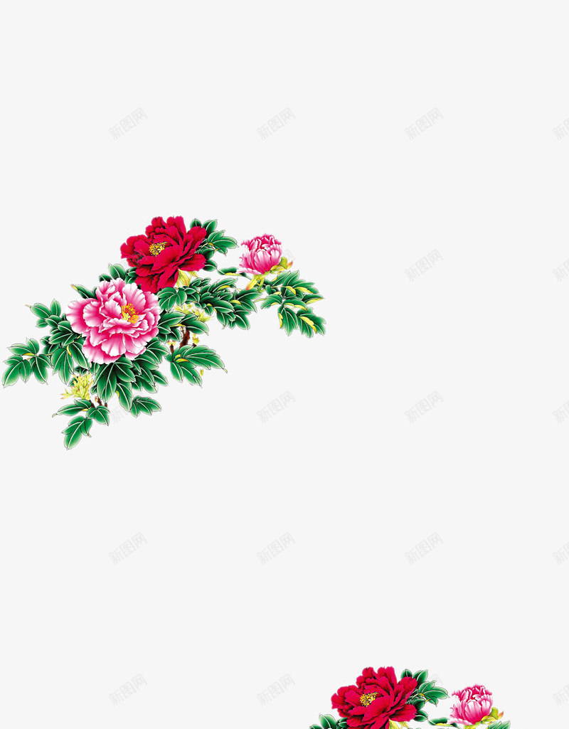 花卉牡丹花牡丹花png免抠素材_新图网 https://ixintu.com 牡丹 牡丹花 花 花卉