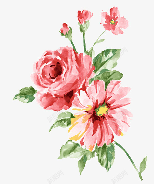 中国画牡丹花png免抠素材_新图网 https://ixintu.com 中国画 牡丹花