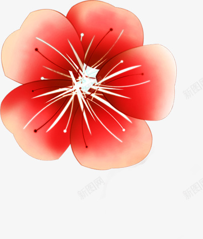 红色牡丹花夏天png免抠素材_新图网 https://ixintu.com 夏天 牡丹花 红色