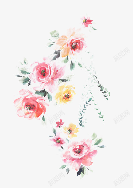 手绘水彩花卉png免抠素材_新图网 https://ixintu.com 小清新 牡丹 粉红色 花朵 黄色