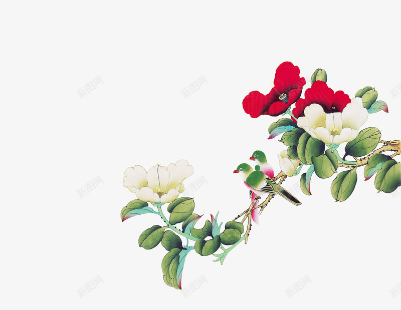 牡丹水彩画装饰psd免抠素材_新图网 https://ixintu.com 古风 国画 怀旧 水彩画 牡丹花
