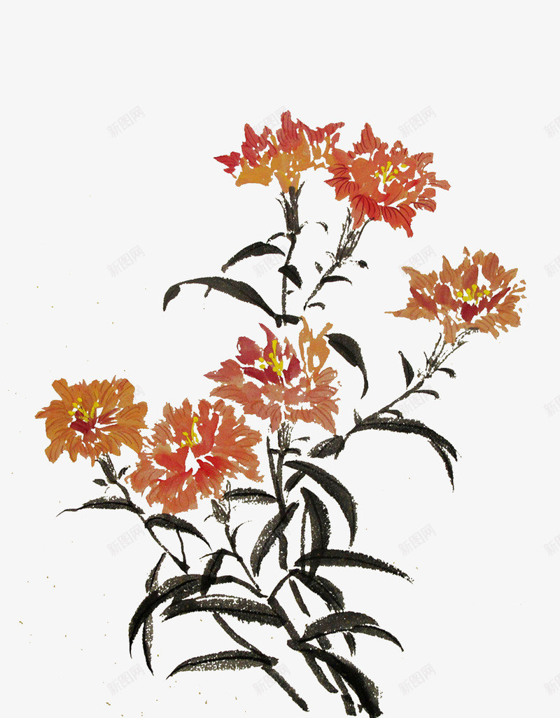 写意花鸟png免抠素材_新图网 https://ixintu.com 写意画 写意花鸟 国画 国画免费下载 水墨画 花鸟