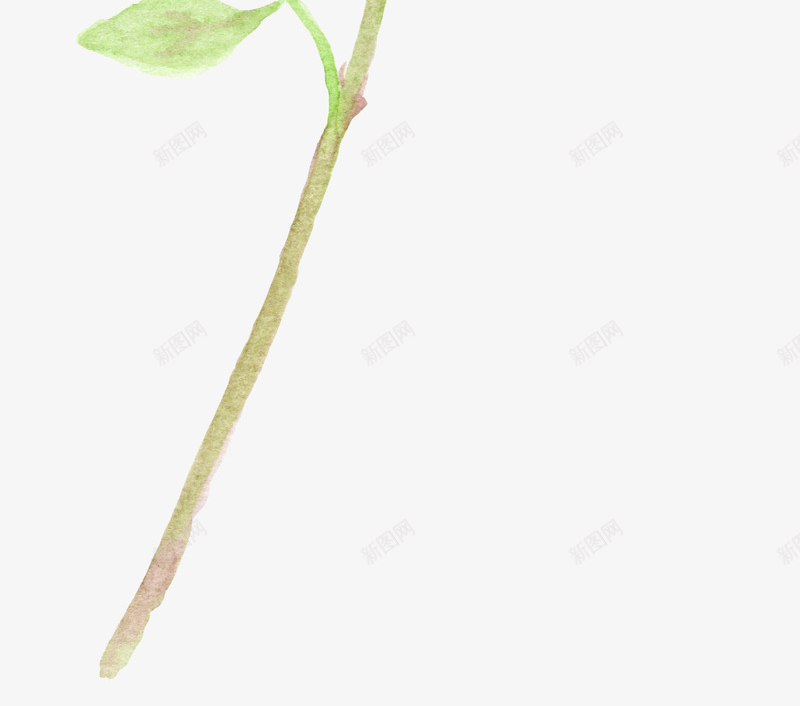 花朵牡丹水彩国画png免抠素材_新图网 https://ixintu.com 水彩 牡丹 花