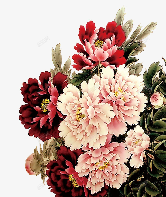 国画彩色水墨画牡丹花png免抠素材_新图网 https://ixintu.com 国画 彩色水墨画 水墨战场 水墨画 牡丹花