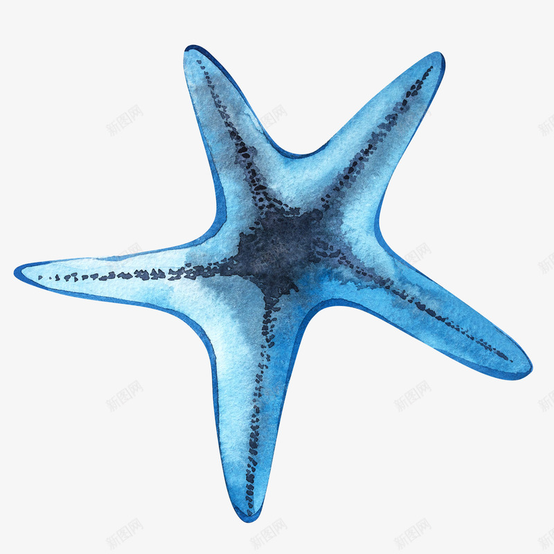 海星水族馆海底动植物psd免抠素材_新图网 https://ixintu.com 五角星 好看 小清新 手绘 水彩 海星 淡彩 淡蓝色 精美 美丽