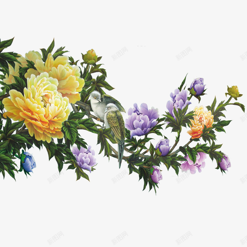 牡丹png免抠素材_新图网 https://ixintu.com 牡丹 紫色 花枝 黄色