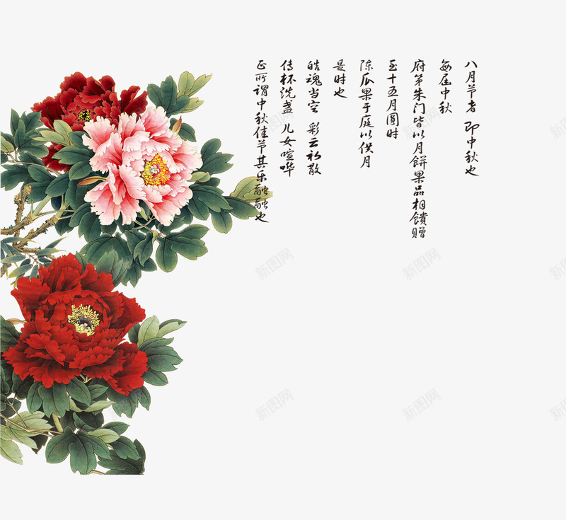 花卉牡丹花黄牡丹psd免抠素材_新图网 https://ixintu.com 红牡丹 花卉 黄牡丹