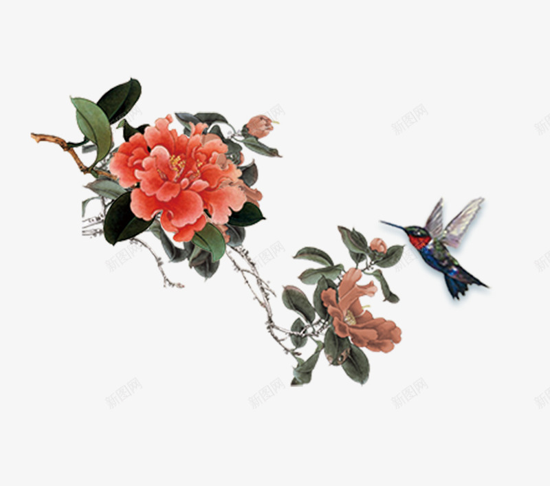 手绘牡丹花花朵装饰psd免抠素材_新图网 https://ixintu.com 手绘树叶 手绘牡丹花 手绘画 手绘花朵 手绘花草 树木植物 花朵装饰