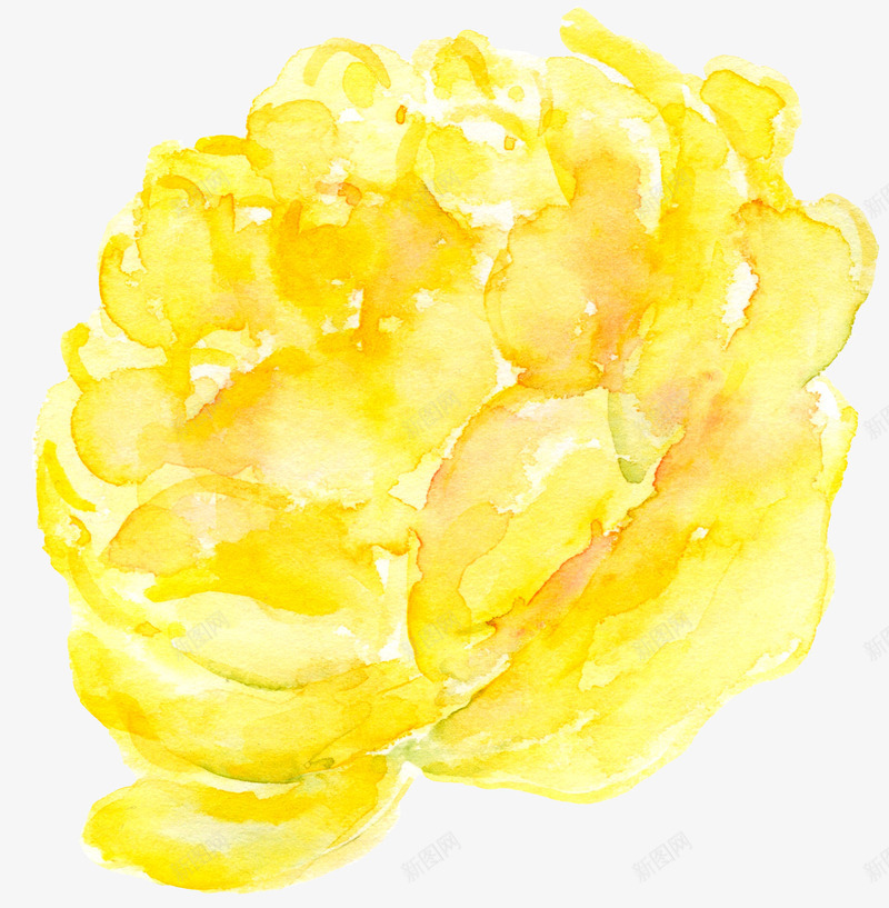 黄色牡丹花手绘png免抠素材_新图网 https://ixintu.com 手绘 牡丹 花