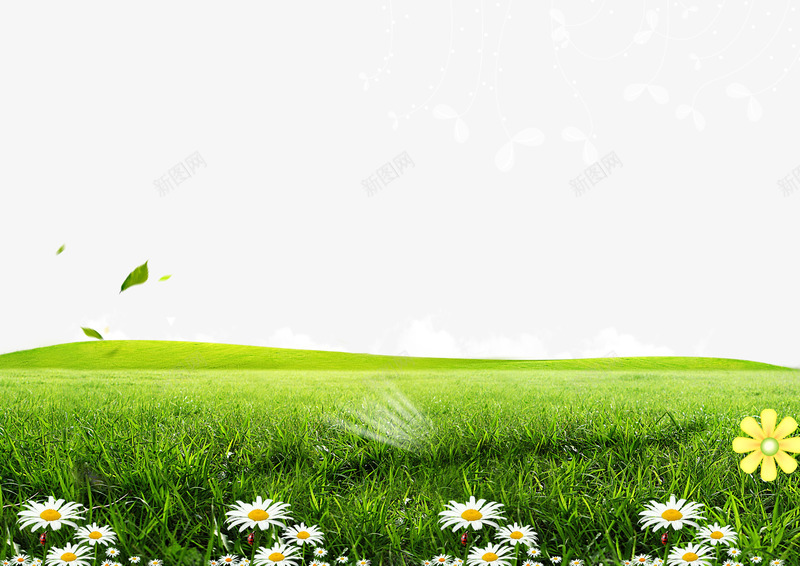 百花绿草海报背景png免抠素材_新图网 https://ixintu.com 太阳花 白色花 绿色 花朵 草地