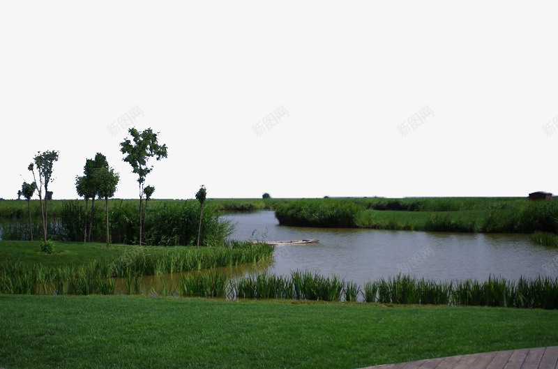 天津七里海湿地风景png免抠素材_新图网 https://ixintu.com 天津 景点 湿地 美丽 风景
