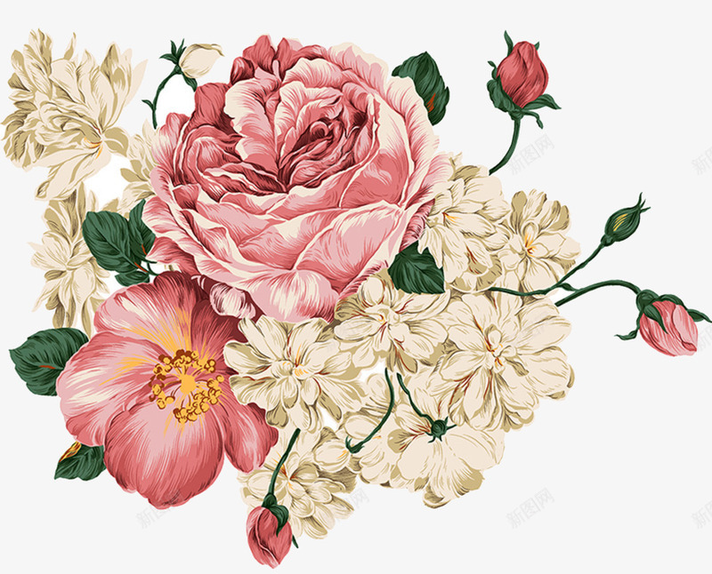 手绘线条牡丹花png免抠素材_新图网 https://ixintu.com 手绘花朵 水彩画 白牡丹 红牡丹