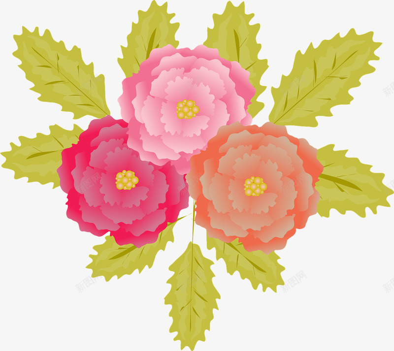 玫瑰插图png免抠素材_新图网 https://ixintu.com 插图 牡丹 玫瑰 鲜花