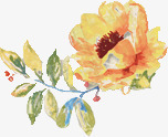 彩绘牡丹花黄色花朵png免抠素材_新图网 https://ixintu.com 彩绘 牡丹花 花朵 黄色