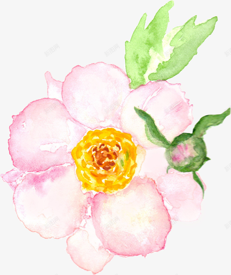 手绘花卉png免抠素材_新图网 https://ixintu.com 唯美花卉 手绘 手绘花卉 手绘花草 月季花 水墨花卉 水彩花卉 牡丹 玫瑰花 绿色植物 花卉 花卉设计 花草 飘落