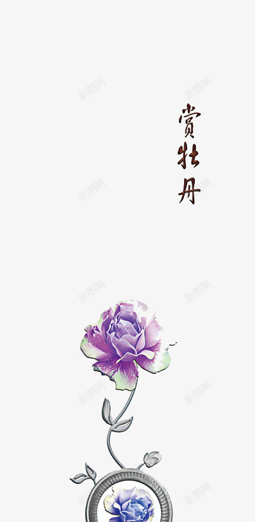 赏牡丹png免抠素材_新图网 https://ixintu.com 牡丹 紫色 蓝色
