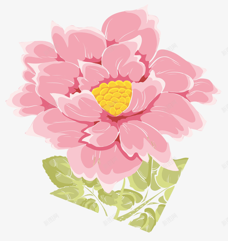 水彩牡丹花粉色花朵psd免抠素材_新图网 https://ixintu.com 水彩牡丹花 水彩牡丹花粉色花朵 牡丹花粉色花朵 粉色花朵