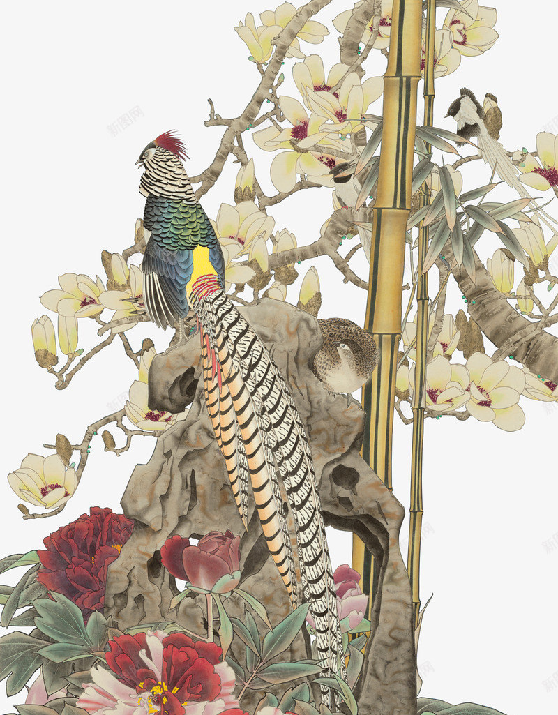 中国工笔画牡丹锦鸡png免抠素材_新图网 https://ixintu.com PNG 中国风 工笔画 牡丹 锦鸡 长尾巴鸟