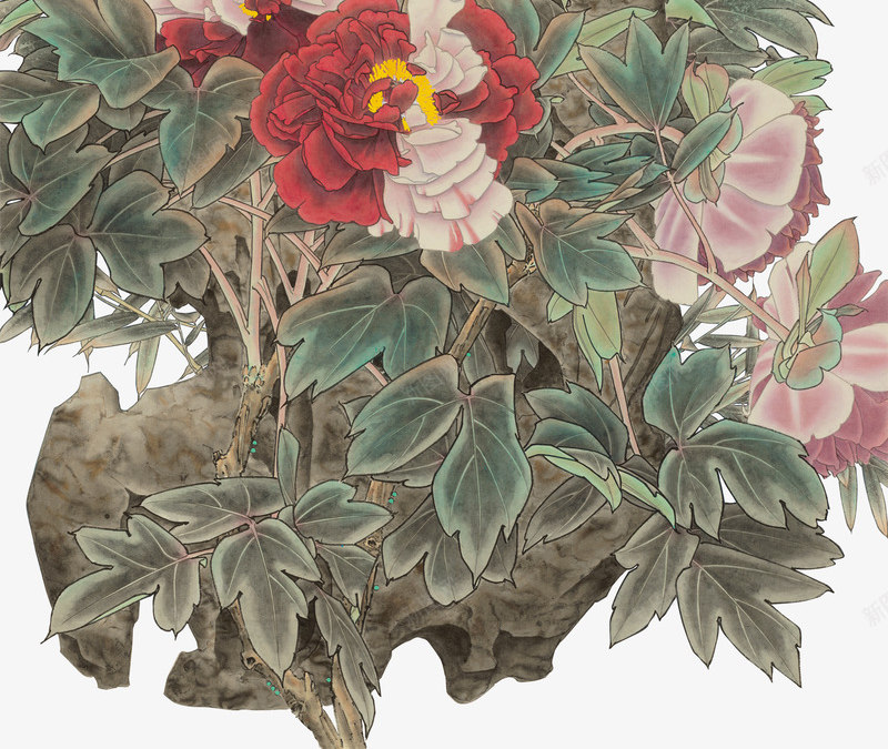 中国工笔画牡丹锦鸡png免抠素材_新图网 https://ixintu.com PNG 中国风 工笔画 牡丹 锦鸡 长尾巴鸟