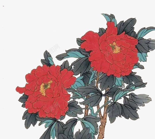 国画牡丹花png免抠素材_新图网 https://ixintu.com 中国风 国画 水彩画 牡丹花