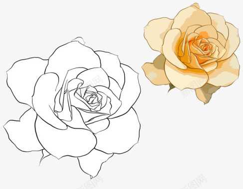 两朵白玫瑰图标图标