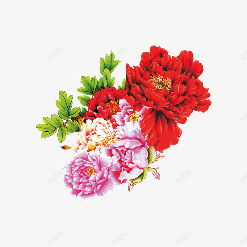 牡丹花片png免抠素材_新图网 https://ixintu.com 牡丹花免扣图片 牡丹花免扣素材 牡丹花图片 牡丹花素材