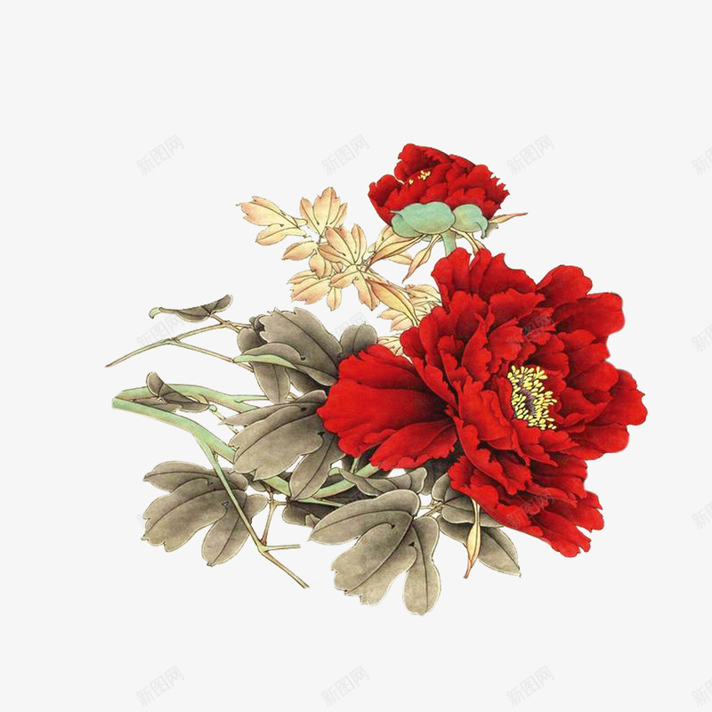 牡丹花中国风花朵png免抠素材_新图网 https://ixintu.com 中国风 插画 牡丹花 花朵
