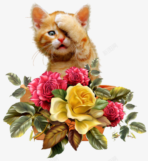 手绘花朵小猫png免抠素材_新图网 https://ixintu.com 幼猫 手绘 手绘花朵 牡丹花 花卉 花朵
