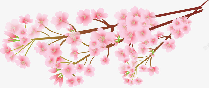 粉色美丽春季花枝png免抠素材_新图网 https://ixintu.com 春天 春季 春季花枝 春日 枝条 桃花