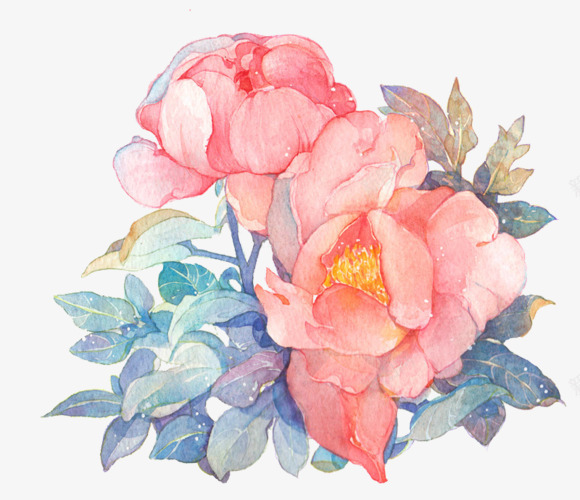 水彩花朵牡丹花png免抠素材_新图网 https://ixintu.com 水彩 牡丹花 花朵