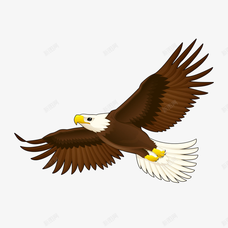 卡通手绘鸟类老鹰矢量图ai免抠素材_新图网 https://ixintu.com 动物设计 卡通 手绘 绘画 老鹰 鸟类 矢量图