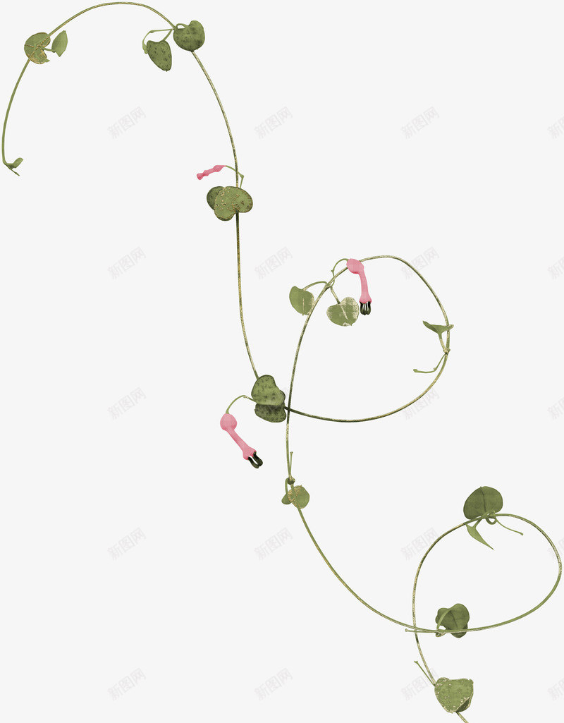 花边png免抠素材_新图网 https://ixintu.com 树藤 花朵 花边