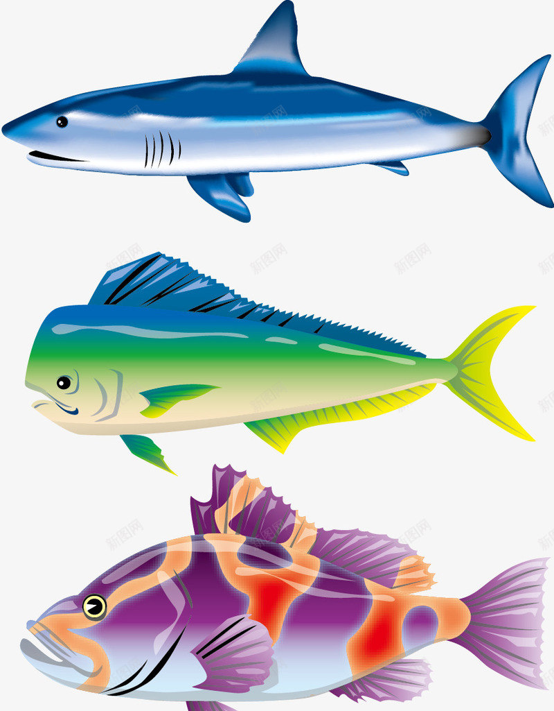 色彩丰富的海鱼矢量图ai免抠素材_新图网 https://ixintu.com 海鱼 海鱼矢量素材 矢量素材 鲨鱼 矢量图