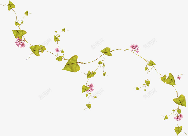 藤草png免抠素材_新图网 https://ixintu.com 树藤 花卉 藤条