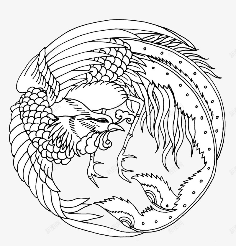 凤凰线稿png免抠素材_新图网 https://ixintu.com 凤凰 凤凰花 手绘 手绘凤凰 线稿 绘画