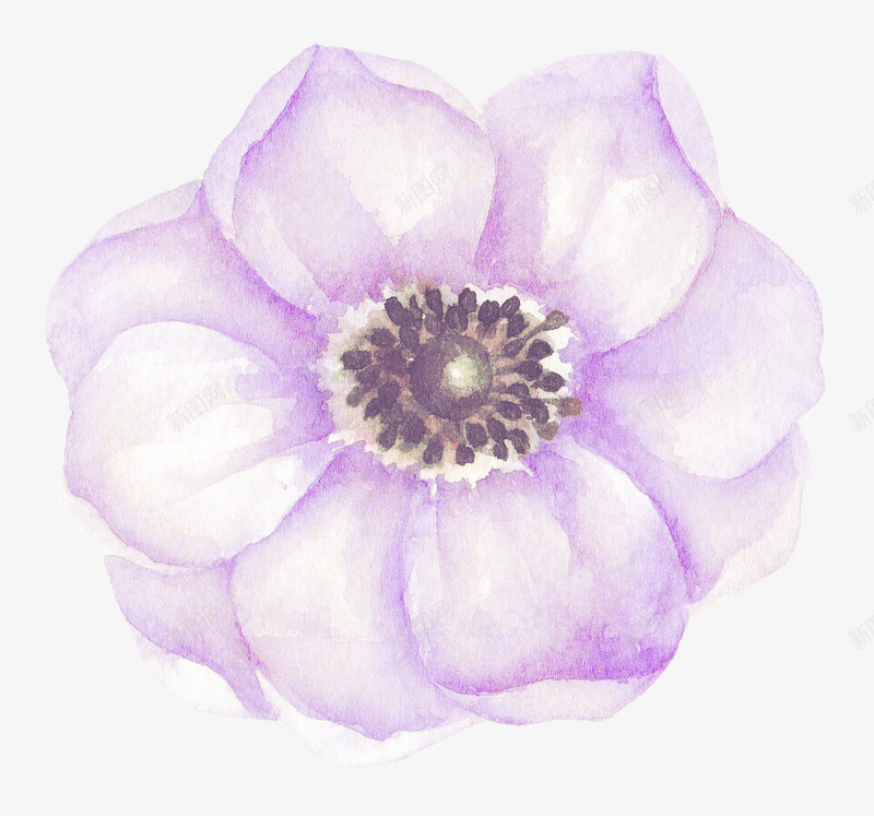水彩手绘彩色花卉紫色花朵png免抠素材_新图网 https://ixintu.com 包装设计 小清新包装 布料印花 紫色花朵 花朵 花朵装饰 花瓣 花瓣装饰 花草设计 贺卡设计
