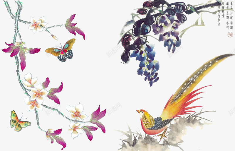 中国风花鸟png免抠素材_新图网 https://ixintu.com 中国画花鸟 中国风 中国风花鸟素材 国画 花 花鸟 鸟