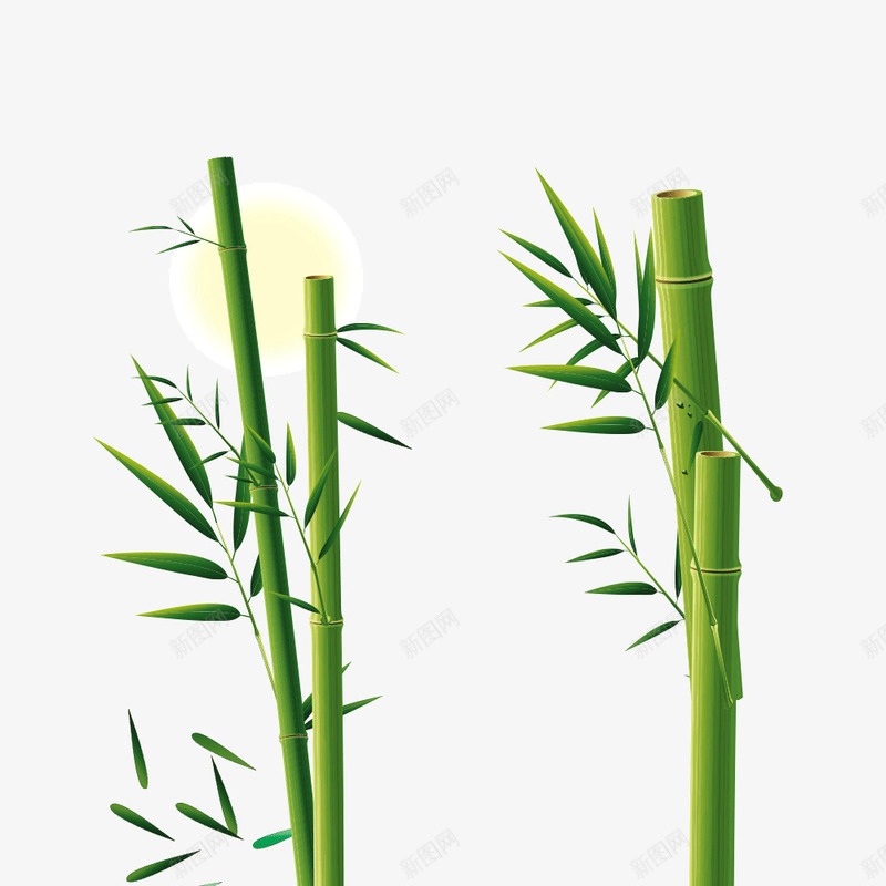 绿色翠竹png免抠素材_新图网 https://ixintu.com 太阳 端午节 竹子 绿色 翠竹
