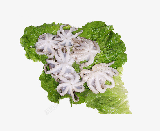 叶子上的章鱼片png免抠素材_新图网 https://ixintu.com 八爪鱼素材图片 海洋生物素材图片 生菜叶图片 生鲜类素材图片