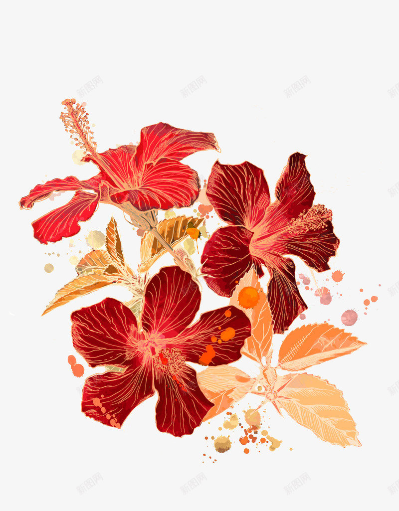 鲜艳的花卉png免抠素材_新图网 https://ixintu.com 暖色 色彩 花卉