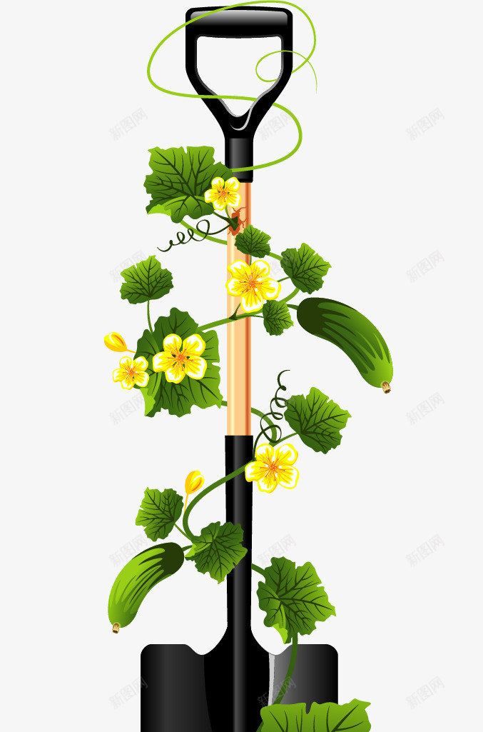 手绘铁锨png免抠素材_新图网 https://ixintu.com 手绘 花藤 铁锨