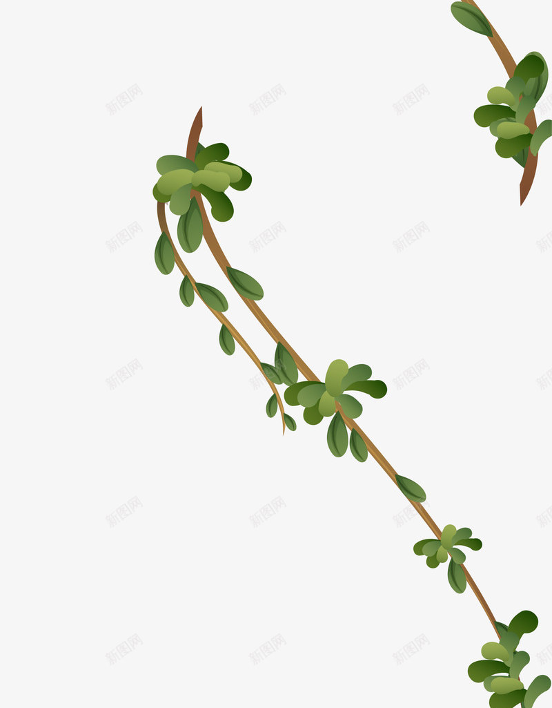 绿色藤蔓装饰png免抠素材_新图网 https://ixintu.com 免抠PNG 树木装饰 绿叶条 绿藤 藤条 青藤
