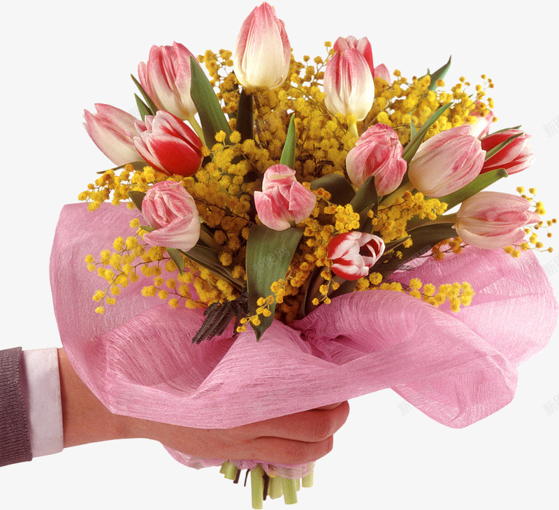 郁金香花束png免抠素材_新图网 https://ixintu.com 印花 小花 底纹 彩色 手绘花 插花 时尚 花朵 花束 花纹 装饰花 郁金香 韩国花 韩式