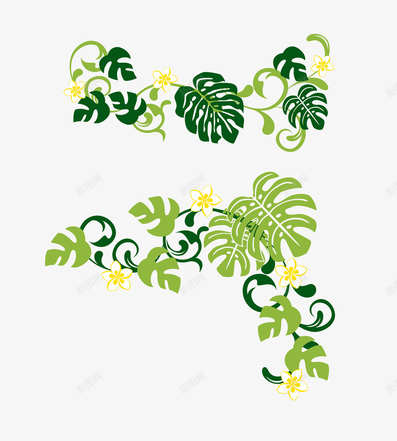 瓜藤叶矢量图ai免抠素材_新图网 https://ixintu.com 矢量植物图案 绿色藤叶 装饰花纹 矢量图
