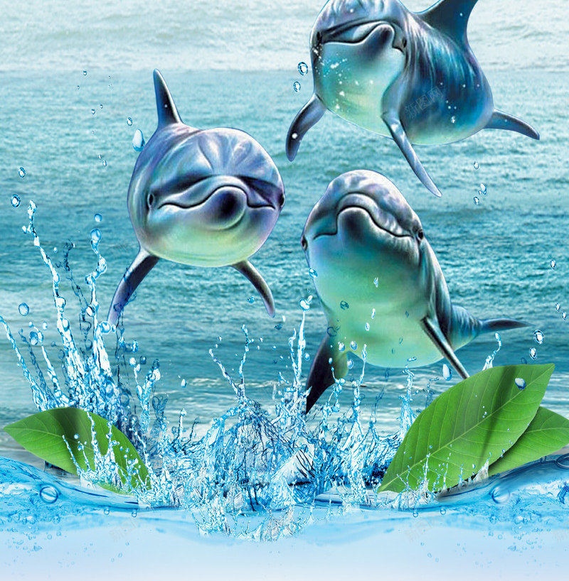 海洋海豚png免抠素材_新图网 https://ixintu.com 公益 海洋 海豚 设计