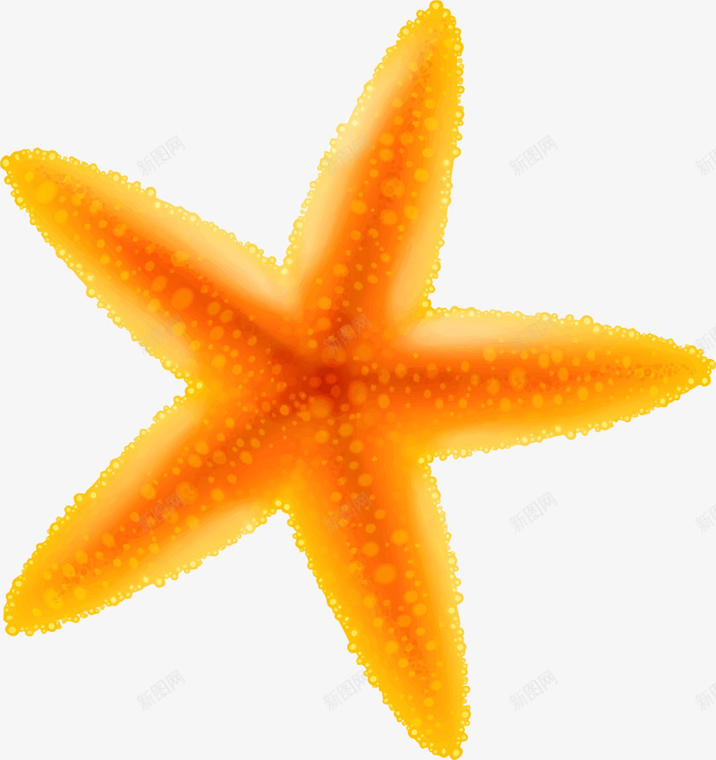 黄色卡通海星png免抠素材_新图网 https://ixintu.com 免抠PNG 卡通 星星 海星 海洋 装饰图案 黄色