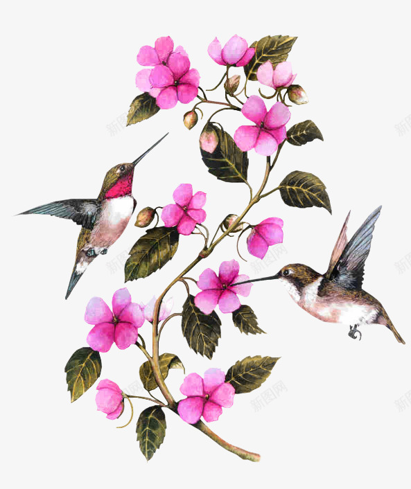 紫色清新花鸟装饰图案png免抠素材_新图网 https://ixintu.com 免抠PNG 清新 紫色 花鸟 装饰图案