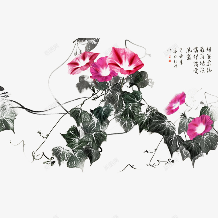中国风水墨牵牛花藤png免抠素材_新图网 https://ixintu.com 中国风 喇叭花 植物 水墨 水墨牵牛花 牵牛花 花卉 花藤