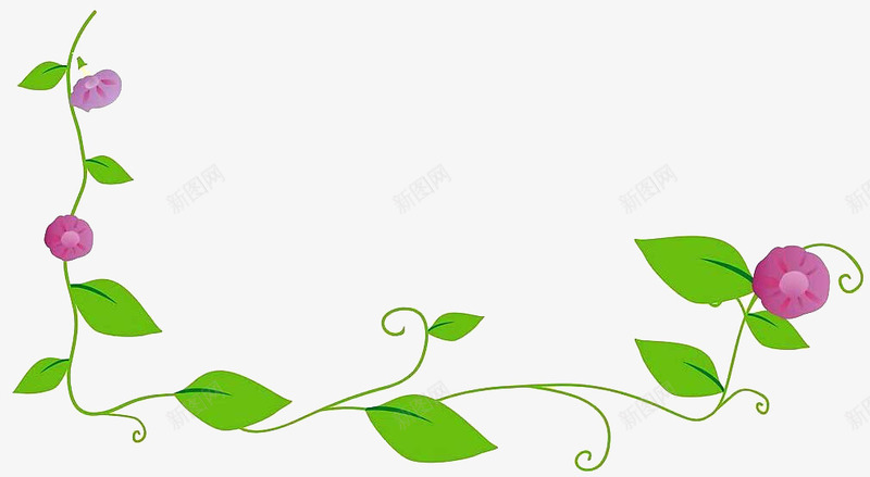 绿色牵牛花花藤边框png免抠素材_新图网 https://ixintu.com 牵牛花 绿色 绿色边框 边框